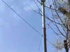 Работа неизвестной вышки нарушила покой в частном секторе Таганрога