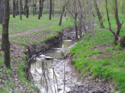 На очистку ливневок в Таганроге потратят в 14 раз меньше, чем планировали