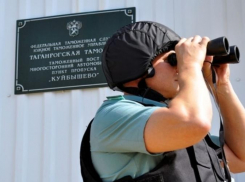 Через Таганрогскую таможню и ветпост на Украину пытались незаконно вывезти 30 кг рыбы