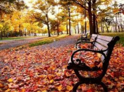 В Таганроге бабье лето подходит к концу