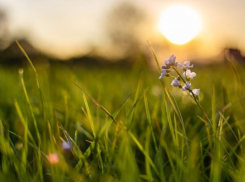 Кладбища по ул. Петлякова в Таганроге не будет 