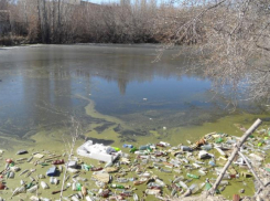 В донском Минприроды сообщили о  загрязненных реках региона, и это не Дон