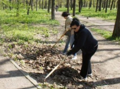 Первый городской субботник пройдет в Таганроге в будущую субботу