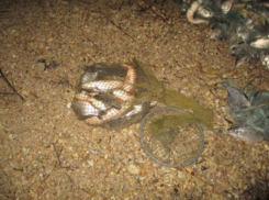 Браконьера с уловом в 140 тысяч рублей задержали полицейские в Неклиновском районе