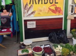 «Базар-вокзал» торгаши устроили на улицах Таганрога