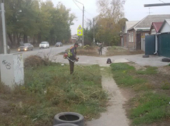 В Таганроге раздался звук косы — поздновато как-то