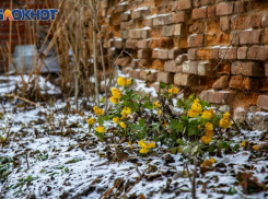 3 декабря: День Прокла и важные предостережения для таганрожцев 