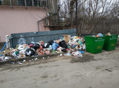 В Таганроге: деньги платите, а вот мусор вывозить не будем