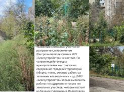 Заросли выше человеческого роста: таганроженка сообщила о заброшенной спортплощадке, а в ответ получила отписку от властей