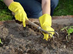 Госдума узаконила членские взносы дачников