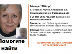 ЛизаАлерт просит помощи в поисках женщины из села под Таганрогом