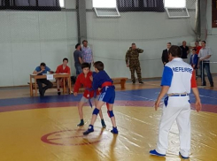 Таганрогские спортсмены завоевали Первенство по самбо