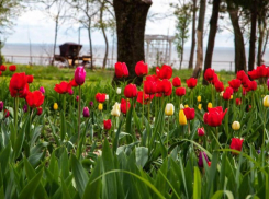  Парку «Станция Морская» 4 года! Приезжайте праздновать 26 апреля!