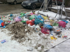«Экотранс» посоветовал таганрожцам забрать мусор обратно домой