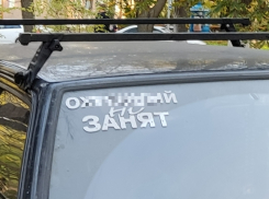 Таганрожцы возмущены матерными наклейками на автомобилях: что грозит владельцам?