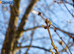 Апрель холодно прощается с таганрожцами