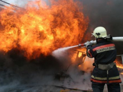 В Таганроге мужчина заживо сгорел в дачном домике