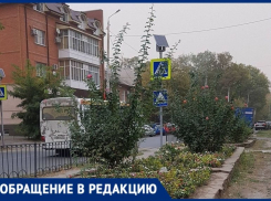 Таганрог как в сказке зарастает розами