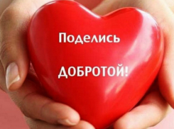 Таганрогские волонтеры просят оказать помощь женщине с детьми