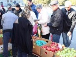 Жителям Таганрога дали возможность купить местные продукты со скидкой 