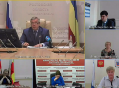 О смягчении ограничительных мер по некоторым направлениям рассказал губернатор Ростовской области