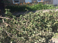 Сотрудники Промышленного территориального управления вернули мусор законному владельцу