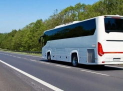 Дополнительные автобусы в новые регионы могут пойти через Таганрог