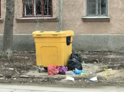 Таганрожец призывает горожан не мусорить и правильно использовать контейнеры