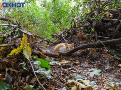 Таганрог: прогноз погоды на рабочую неделю с 9 по 13 октября