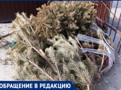«Праздник» не покидает таганрожцев - «Экотранс» так и не вывез елки и мусор