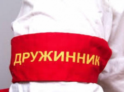 В Таганроге ряды народных дружинников пополнят студенты