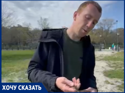 Таганрожец объяснил, почему наши змеи - не повод для страха 