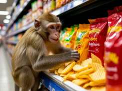 “Как обезьяны”: таганроженка пожаловалась на воров в сетевых магазинах