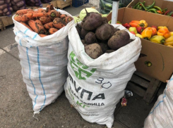 Министр сельского хозяйства и продовольствия региона объяснил заоблачную цену на картошку