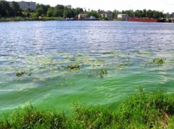 Городские службы выяснили причину удушливого запаха в Таганроге