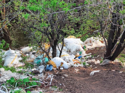 Таганрожцы борются с  «серыми возчиками»