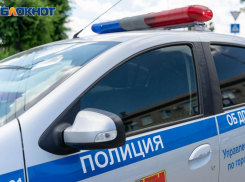 Полицейские Таганрога раскрыли кражу из магазина