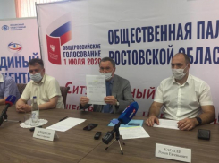 В Таганроге можно стать наблюдателем на референдуме до 29 июня