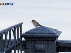 Какими будут последние июньские выходные в Таганроге