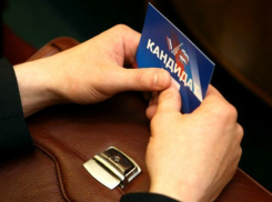 Предварительные итоги праймериз по Таганрогу