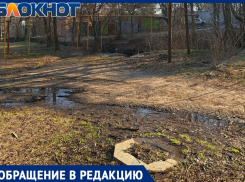 Таганрожцы обеспокоены состоянием реки Малая Черепаха