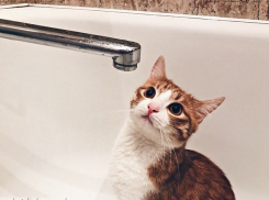 Холодное водоснабжение будет ограничено в Таганроге на несколько дней 