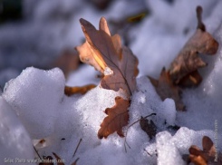 Погода в Таганроге на пять дней: будет тепло и сыро
