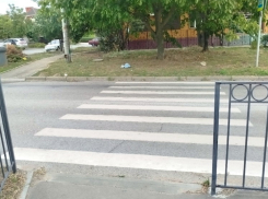 Ужасы нашего городка: зебра в Таганроге упирается почти...в огород