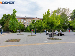 Контрольно-счетная палата занялась озеленением Таганрога и выявила серьезные нарушения