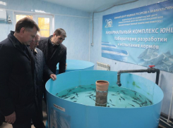 В Ростовской области обсудили проблемы и перспективы водных биоресурсов в бассейне Азовского моря