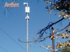 Блогер Таганрога рассказал о вышке сотовой связи на участке главы города Инны Титаренко