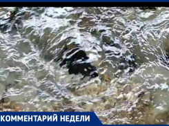 В фонтанах из питьевой воды есть вина администрации Таганрога