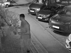«Красота не в кайф»: мужчина вырвал украшение цветочного магазина в районе Нового Вокзала Таганрога