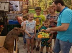 Депутаты городской Думы Таганрога сделали подарок многодетным семьям города